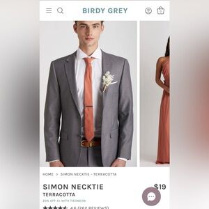 Birdy Grey Terracota necktie